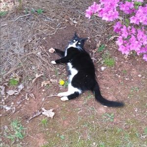 Meet your Posher, Terri